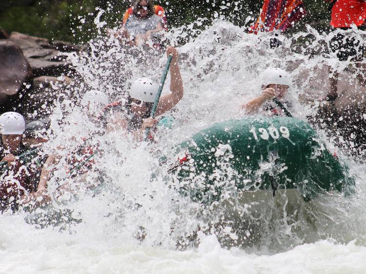 Go whitewater rafting on the Navua River