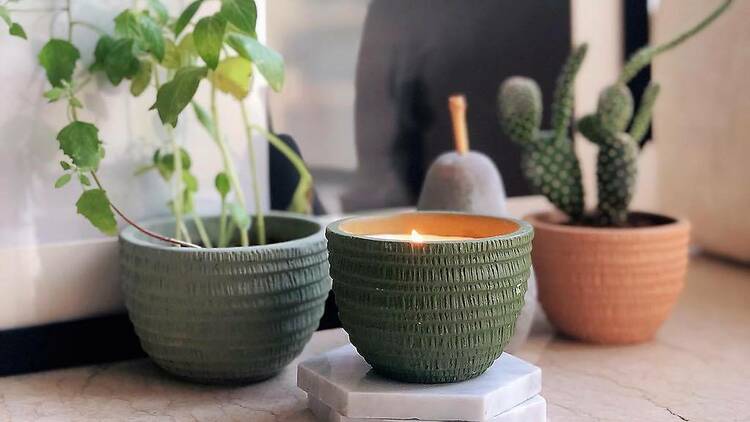 Plantable Candle ($32)