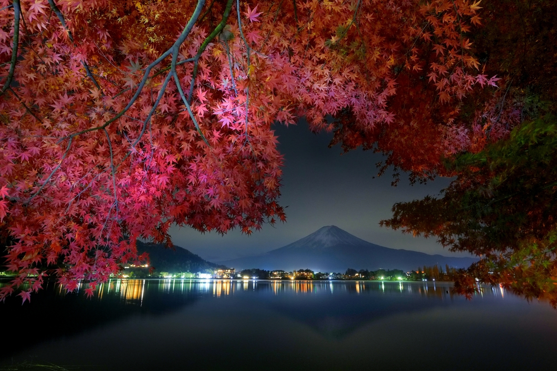 In photos: see stunning autumn leaves from Tokyo to Hiroshima