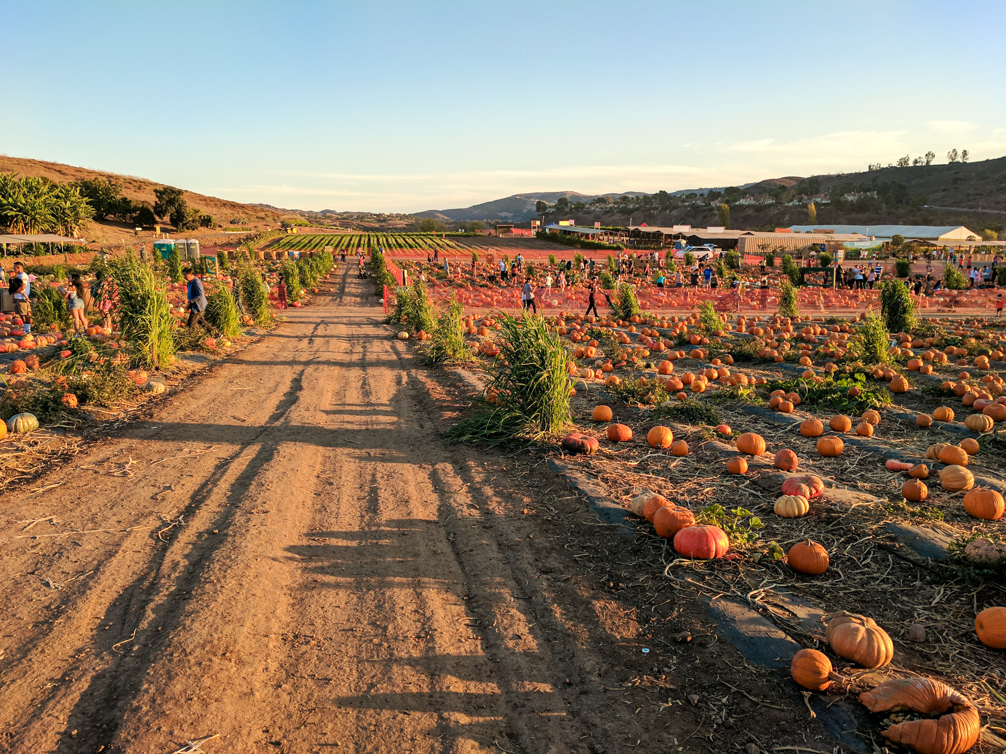 Best Things to Do in the Fall in Los Angeles