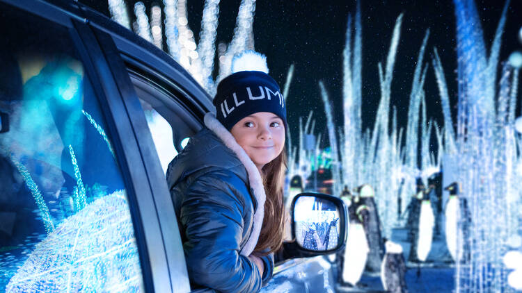 See the holiday lights of Illumi