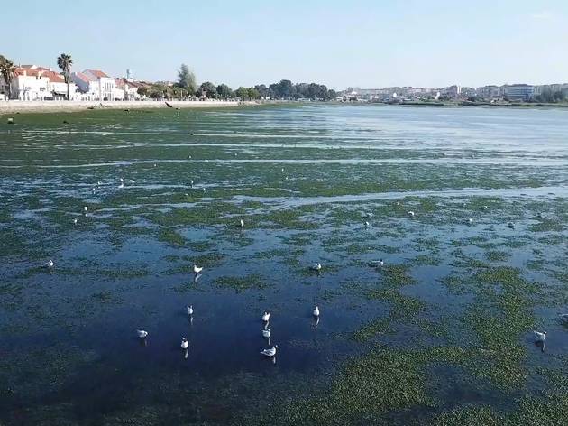 Mar Urbano Lisboa Documentário sobre o Rio Tejo