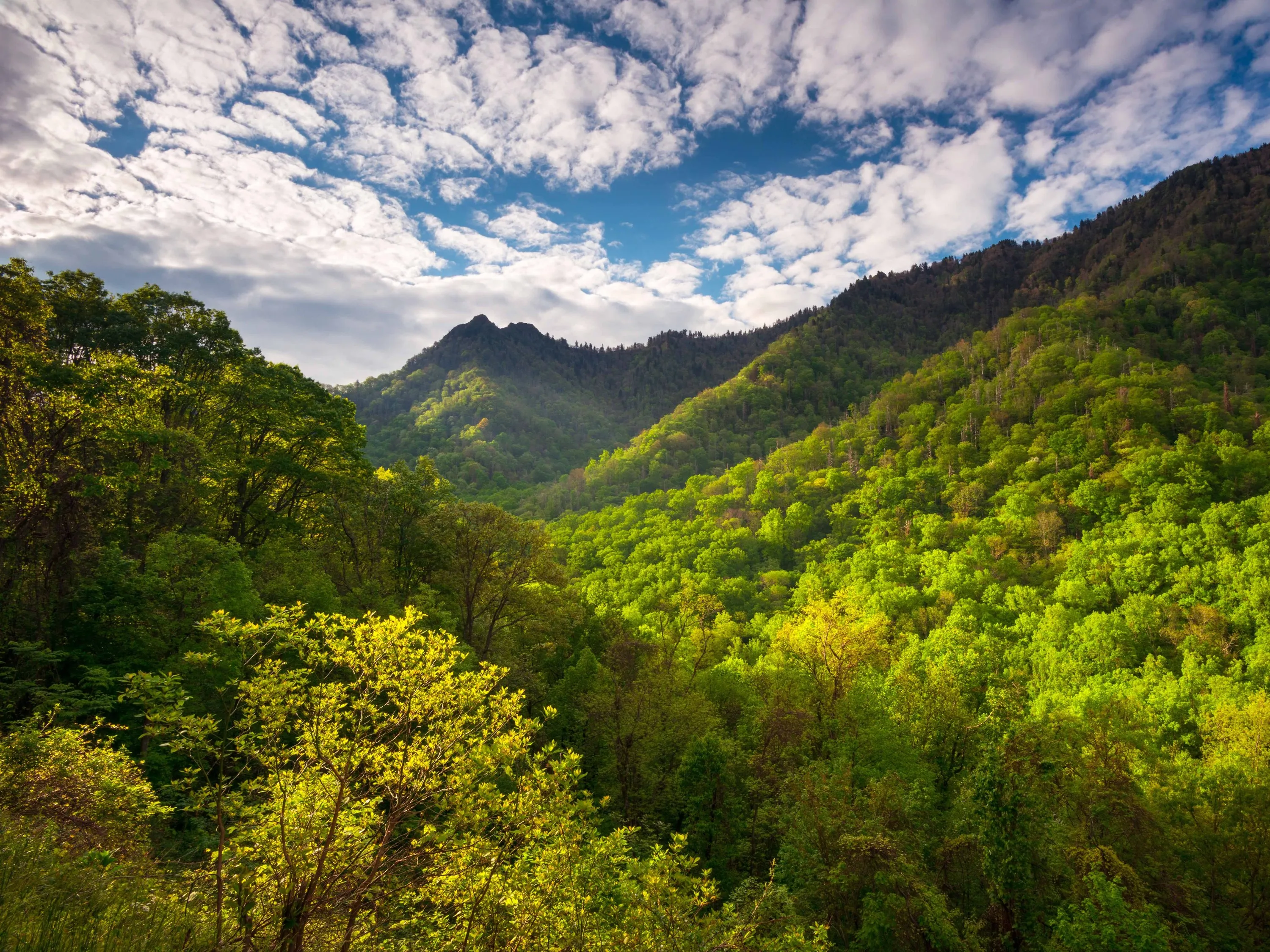 Great Smoky Mountains