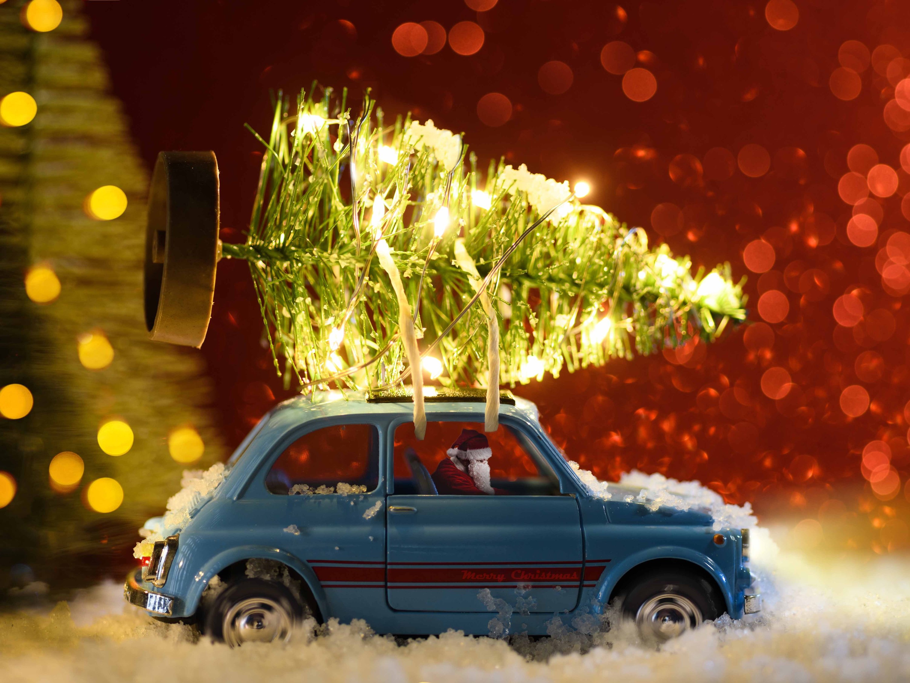 Christmas tree delivery services that all New Yorkers should check out