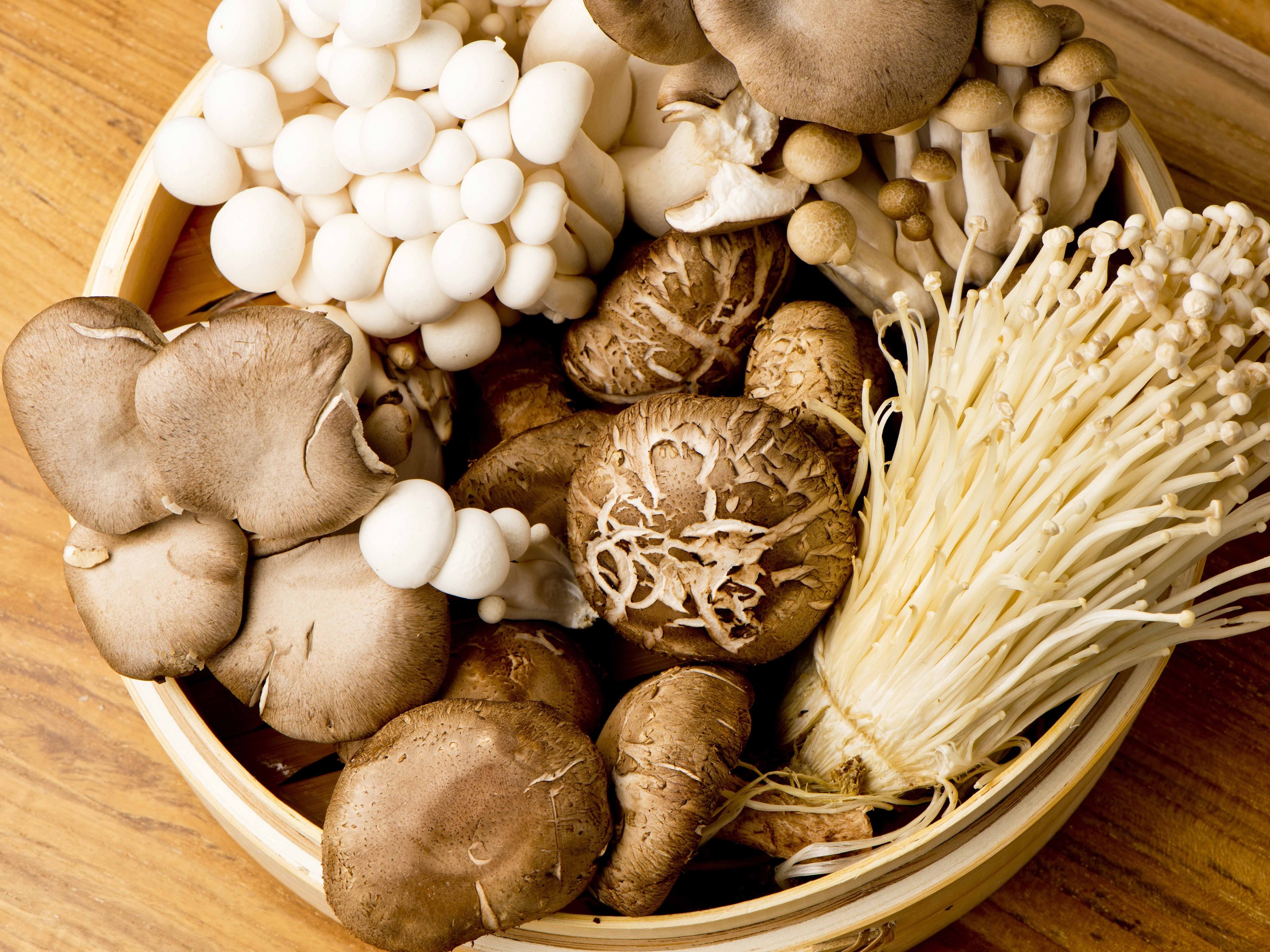 Грибы съедобные и лечебные. Лечебные грибы фото. Гриб майтаке. Хлебный гриб антибиотик. Китайские грибы.
