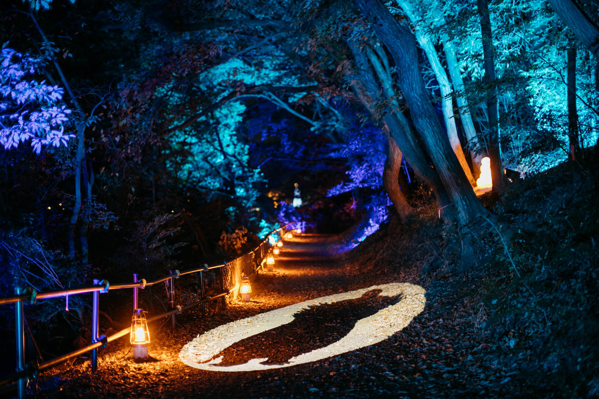 Moominvalley Park Adventure Walk