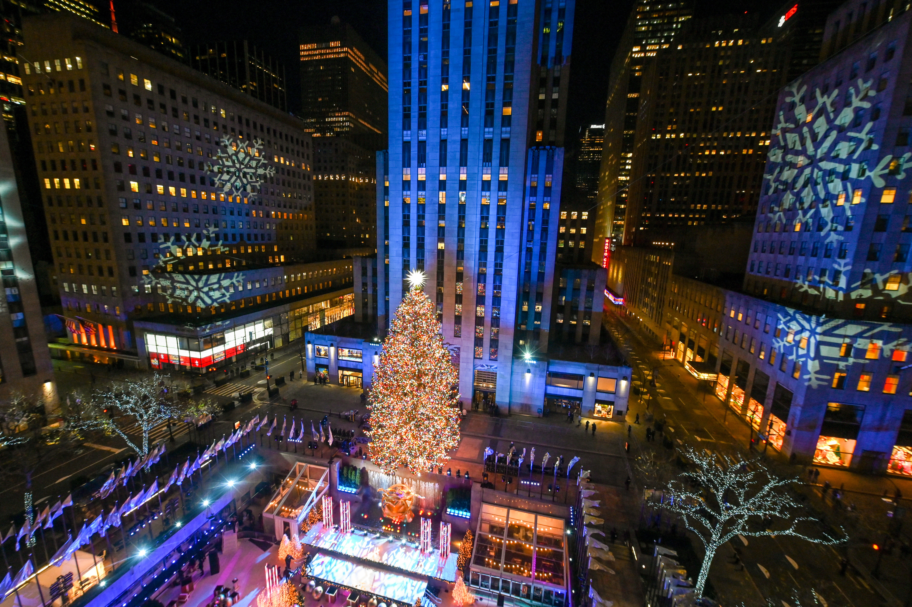 ニューヨークの特大クリスマスツリー 今年も無事点灯