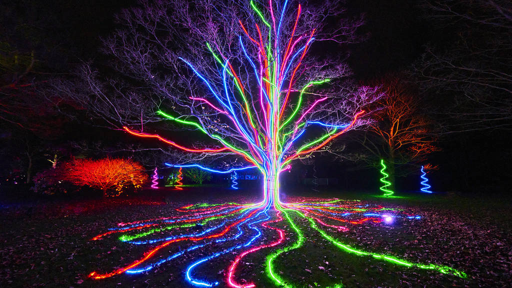 Christmas at Kew Gardens Christmas Light Dates & Tickets