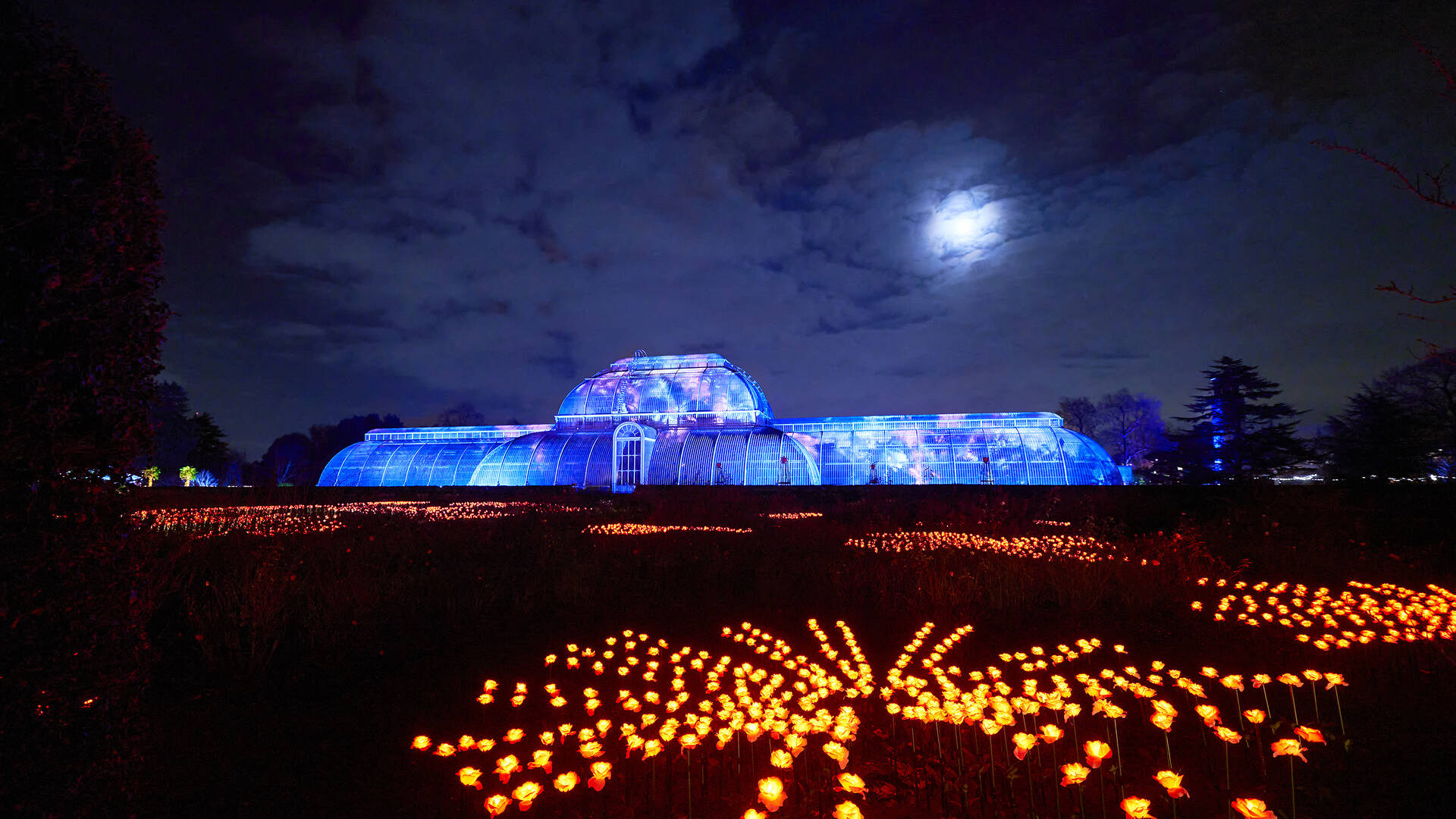 Christmas at Kew Gardens Christmas Light Dates & Tickets