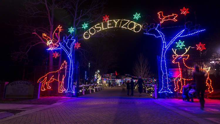 Cosley Zoo