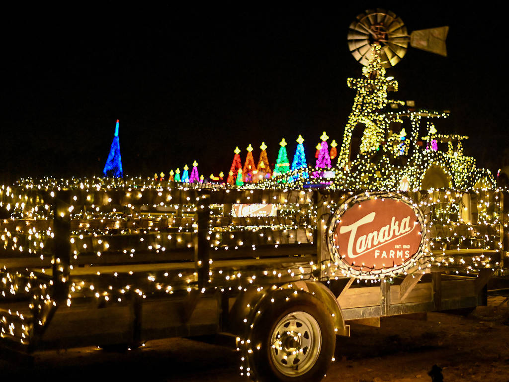 18 Best Places to See Christmas Lights in Los Angeles