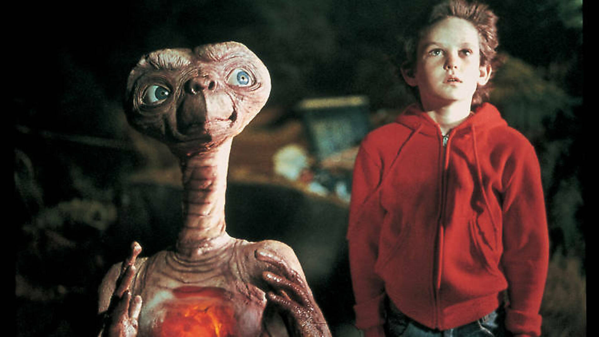 Best Family Movies To Delight The Kids And The Grown-Ups