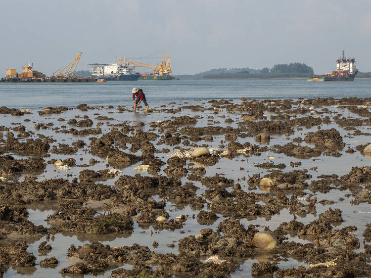 Pulau Hantu