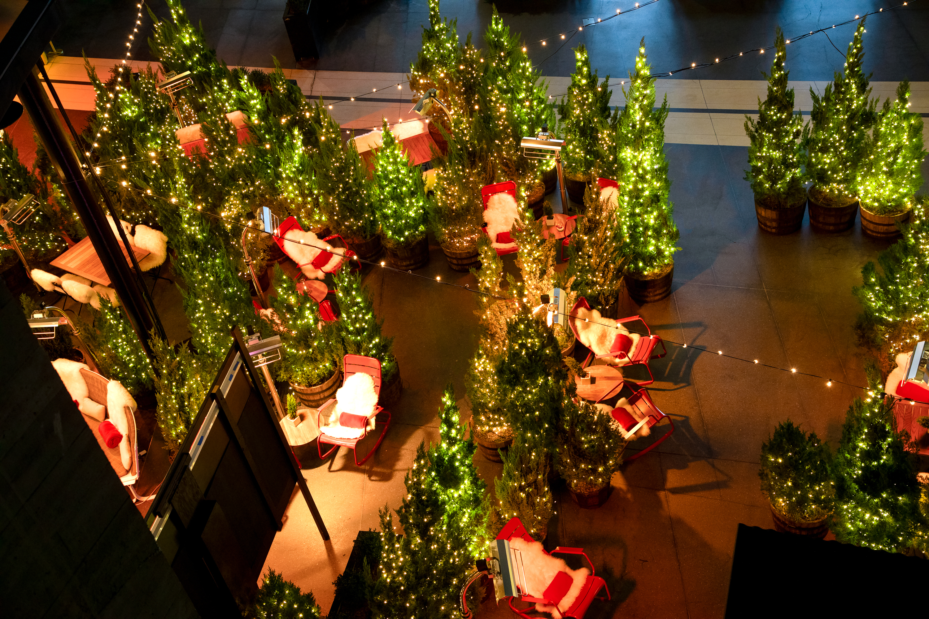 The Forest at The Standard, High Line