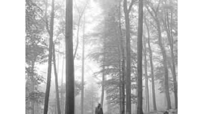 ‘folklore’ – Taylor Swift ‘folklore’ – Taylor Swift