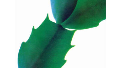 ‘Green’ – Hiroshi Yoshimura ‘Green’ – Hiroshi Yoshimura