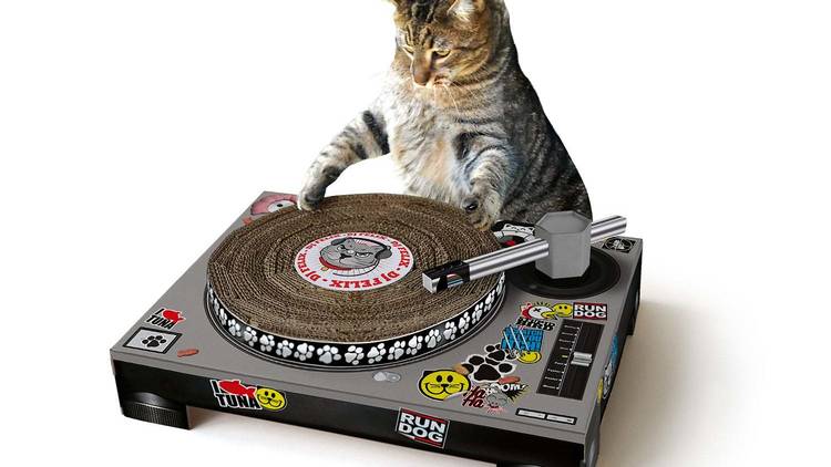 DJ Cat Scratch Turntable 