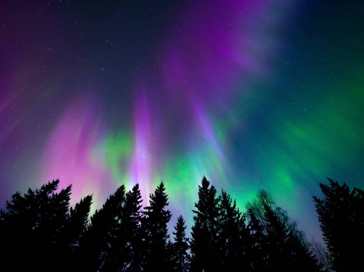 Will Massachusetts see the Northern Lights tonight?