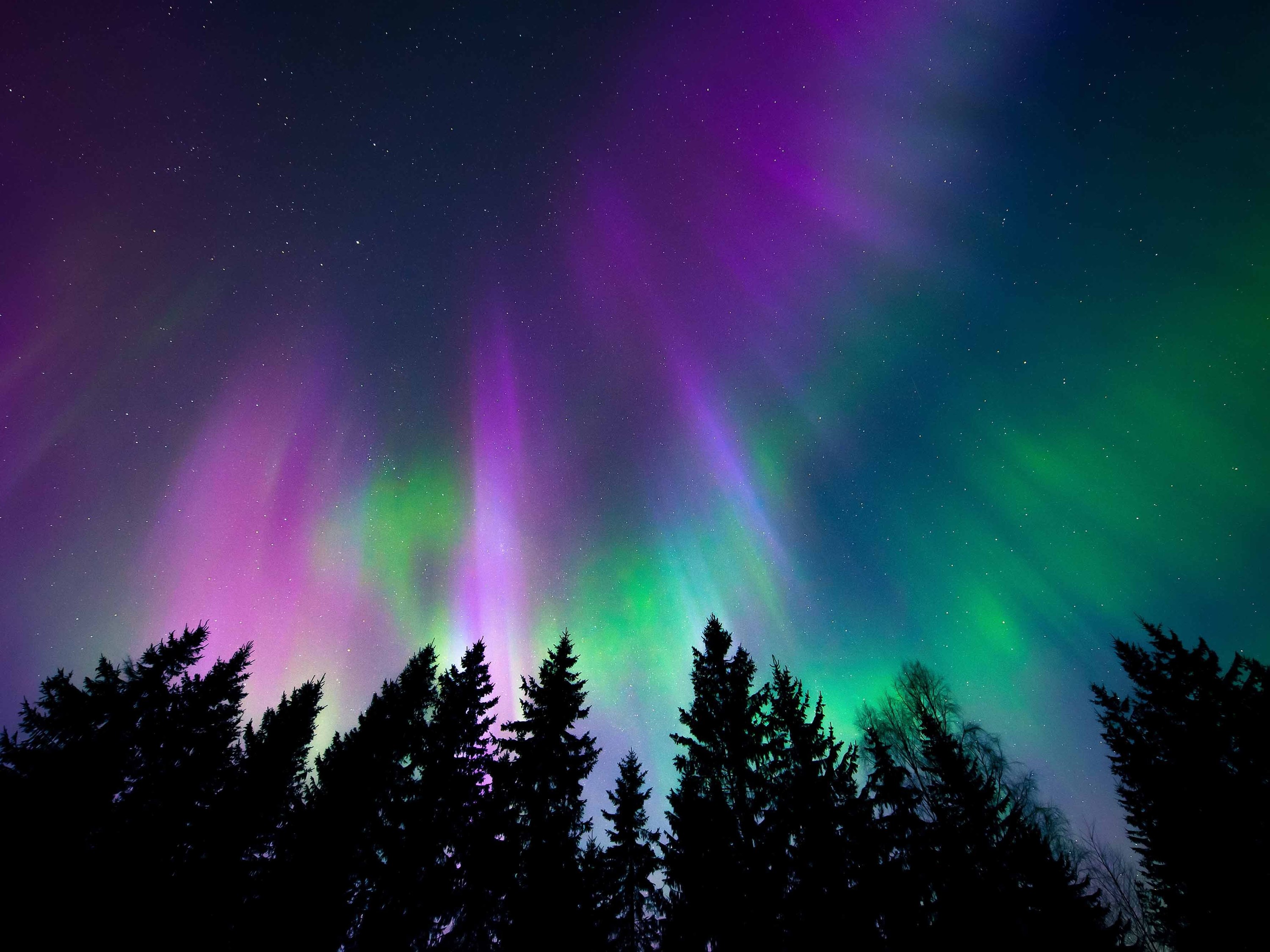 Tonight is the best opportunity to see the Northern Lights - Radio Iowa
