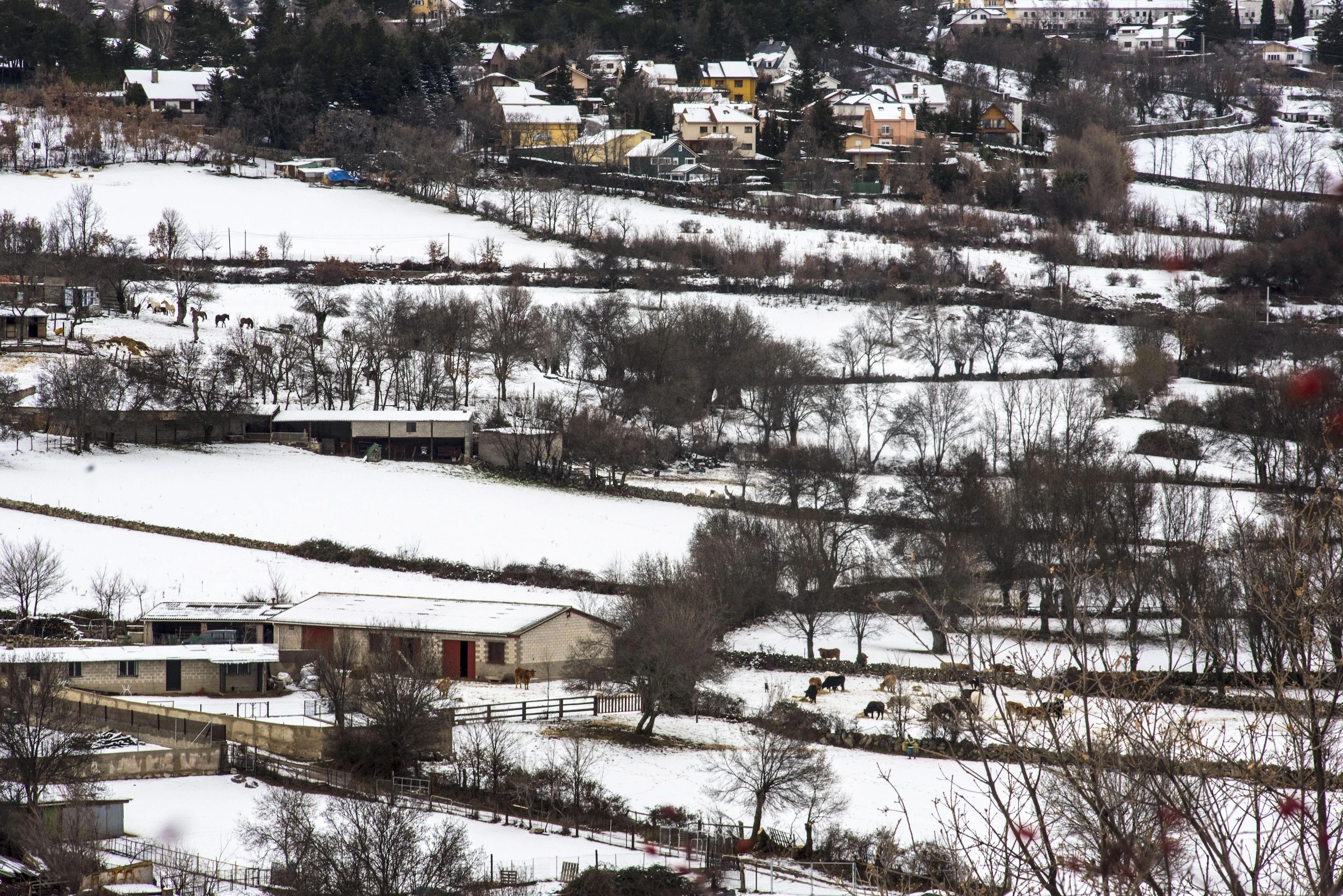 Cercedilla en invierno con nieve 
