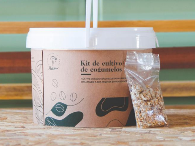 cogumelos CogusBox