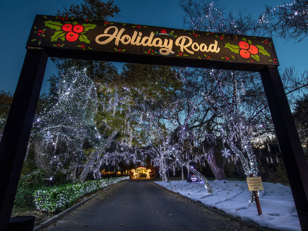 17 Best Places to See Christmas Lights in Los Angeles