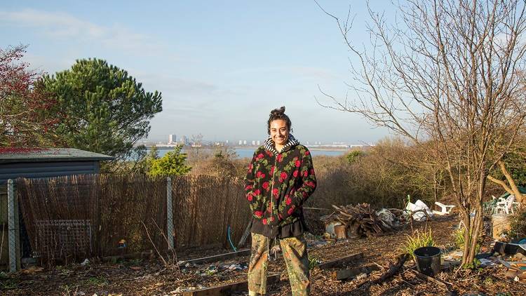 An abandoned allotment in Chingford 