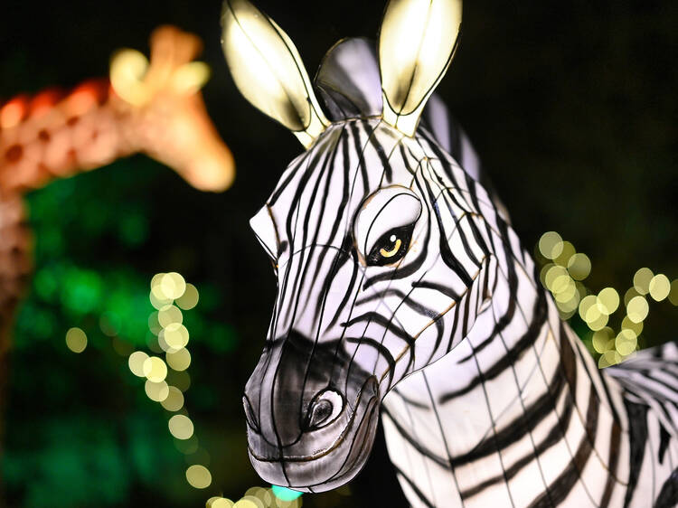 See the creatures at the Bronx Zoo Holiday Light Show