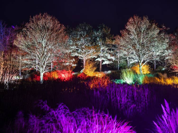 10 Magical Christmas Lights Trails in the UK