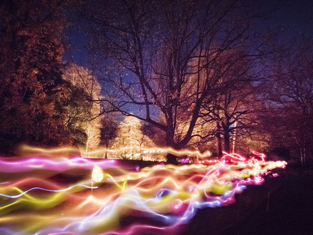 10 Magical Christmas Lights Trails in the UK