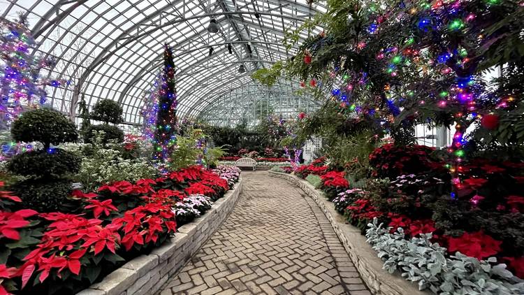 Garfield Park Conservatory winter flower show