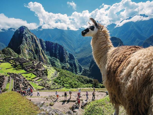 Santuario Machu Picchu. Perú Santuario Machu Picchu. Perú