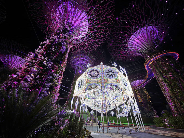 Marvel at Christmas lights and trees