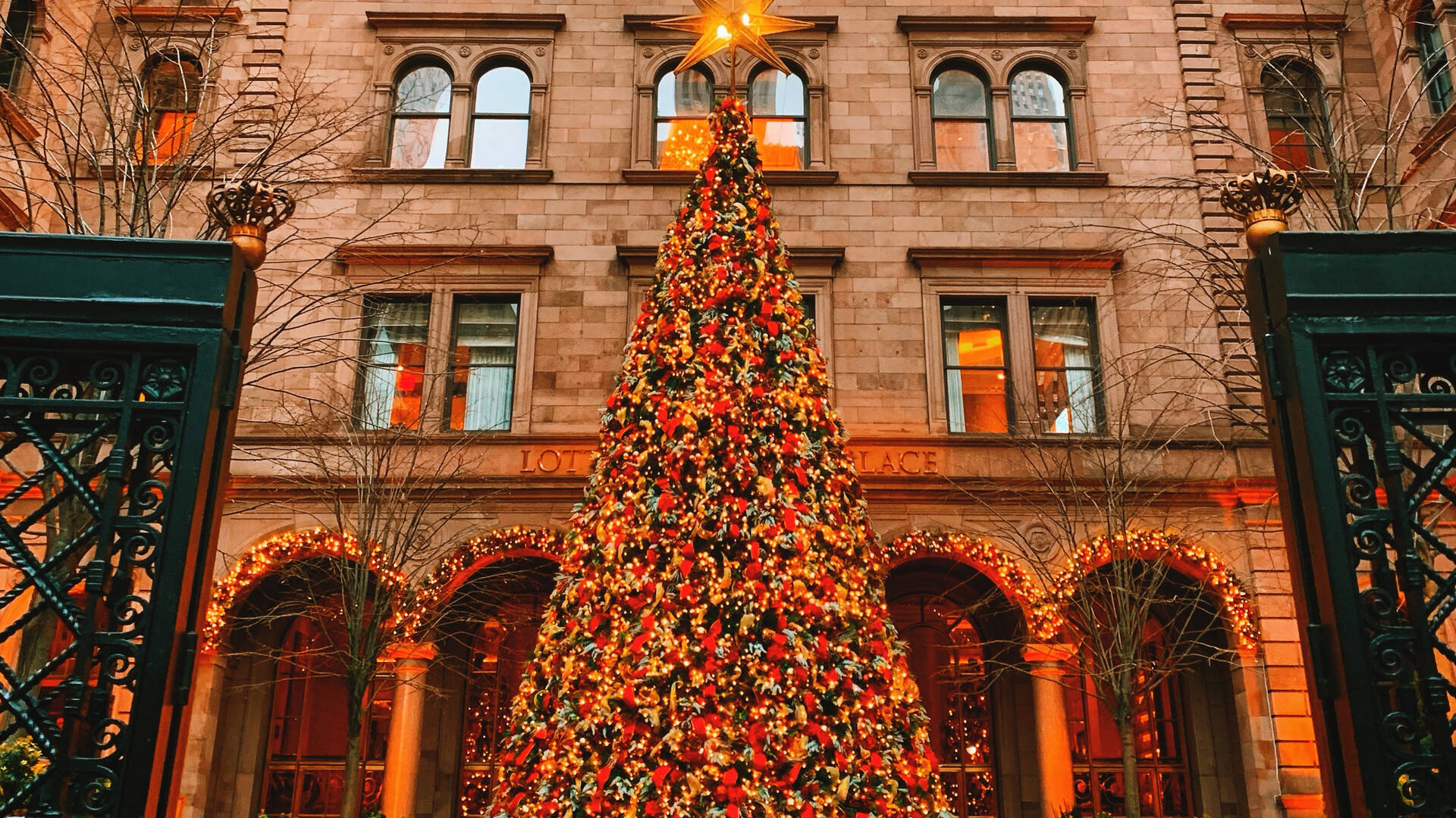 6 NYC Christmas Trees Worth Visiting in 2020