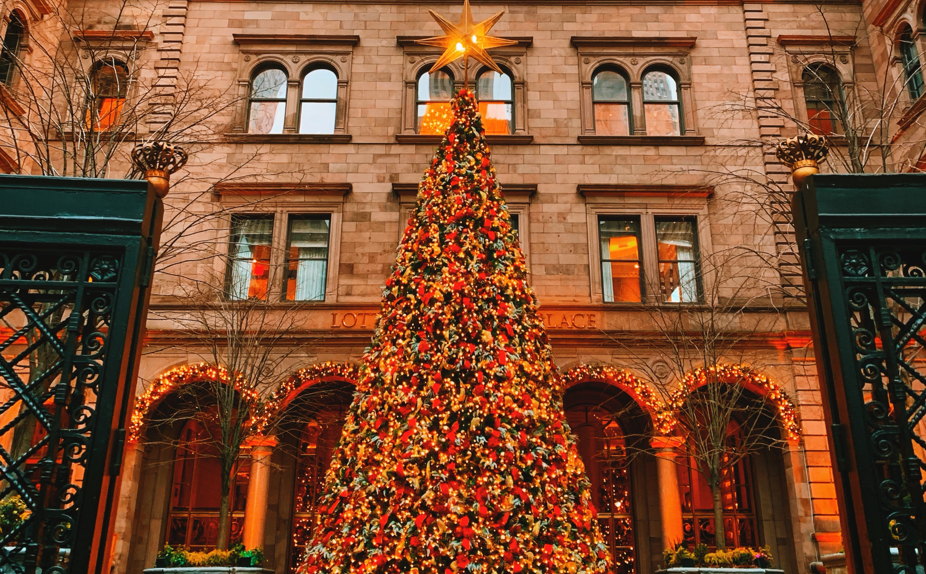 new york christmas tree