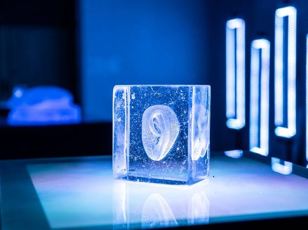 BGC GLASS STUDIO presents LIGHT UP THE CITY