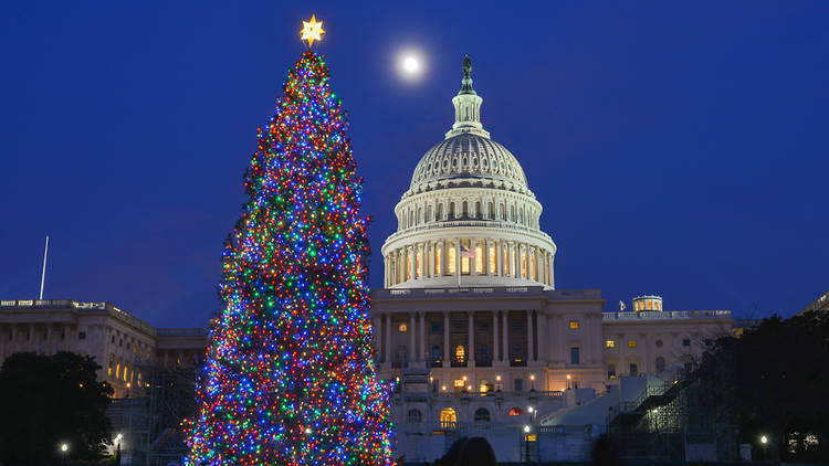 Washington D.C Christmas tree