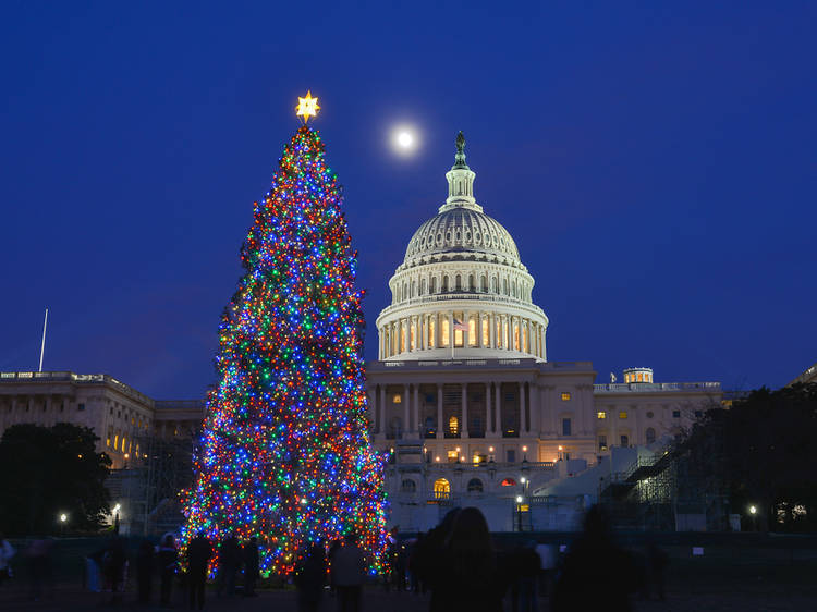 Washington D.C Christmas tree