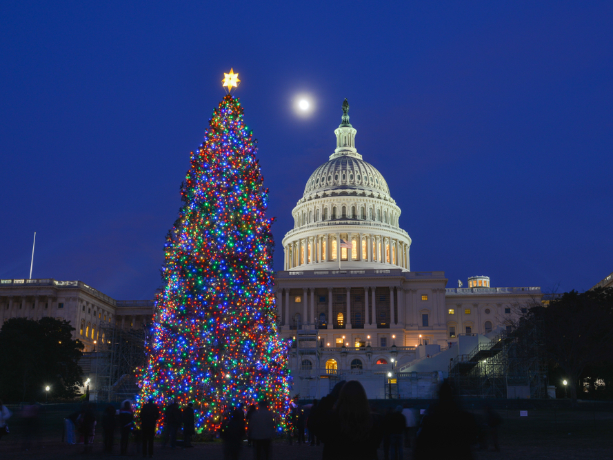 10 Beautiful Christmas Tree Decorating Ideas