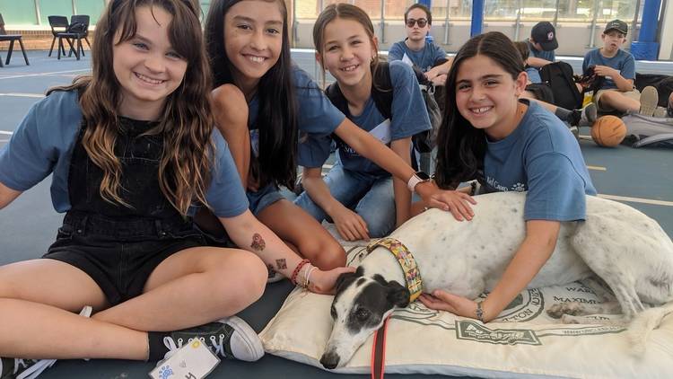 Children pose with greyhound.