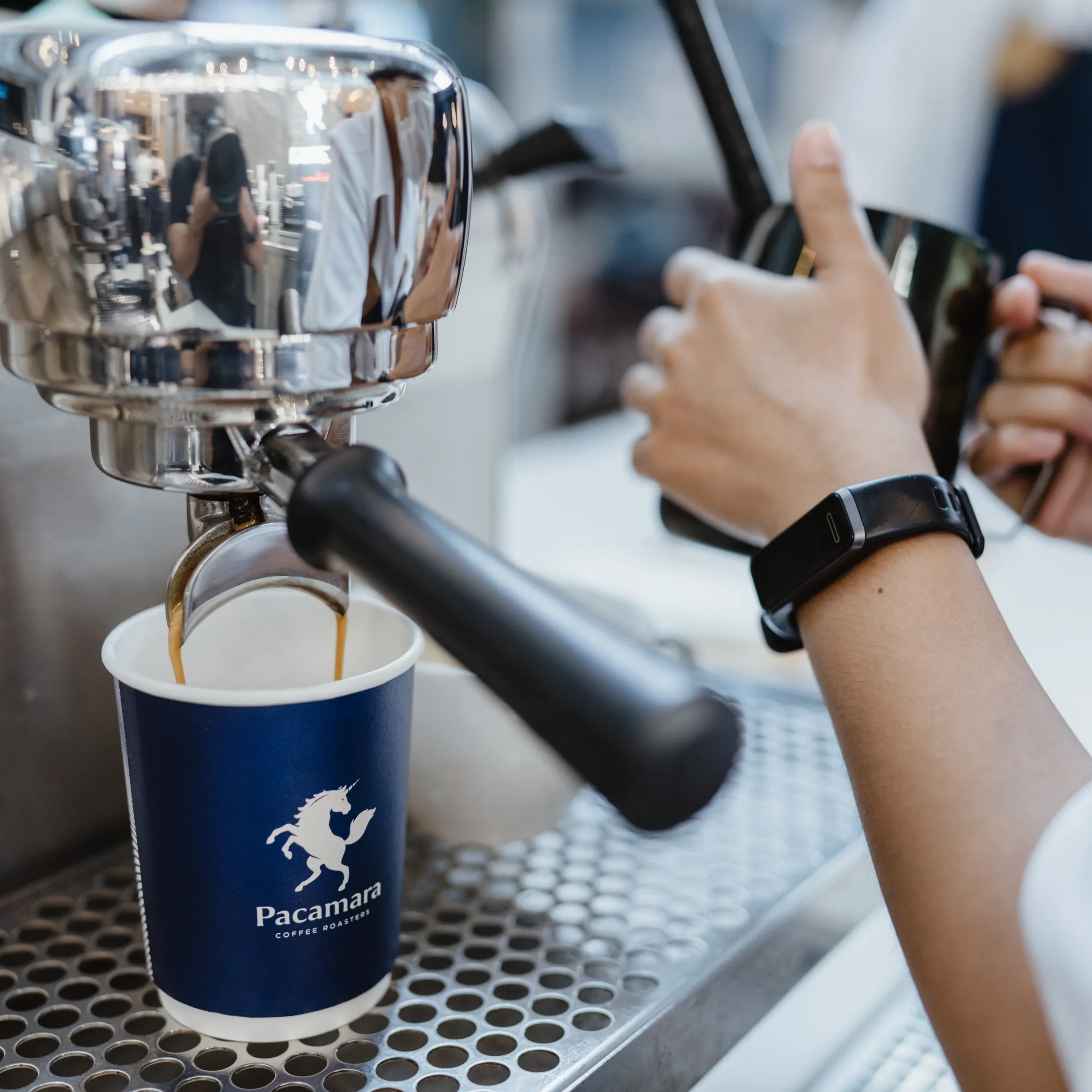 Pacamara Coffee Roasters