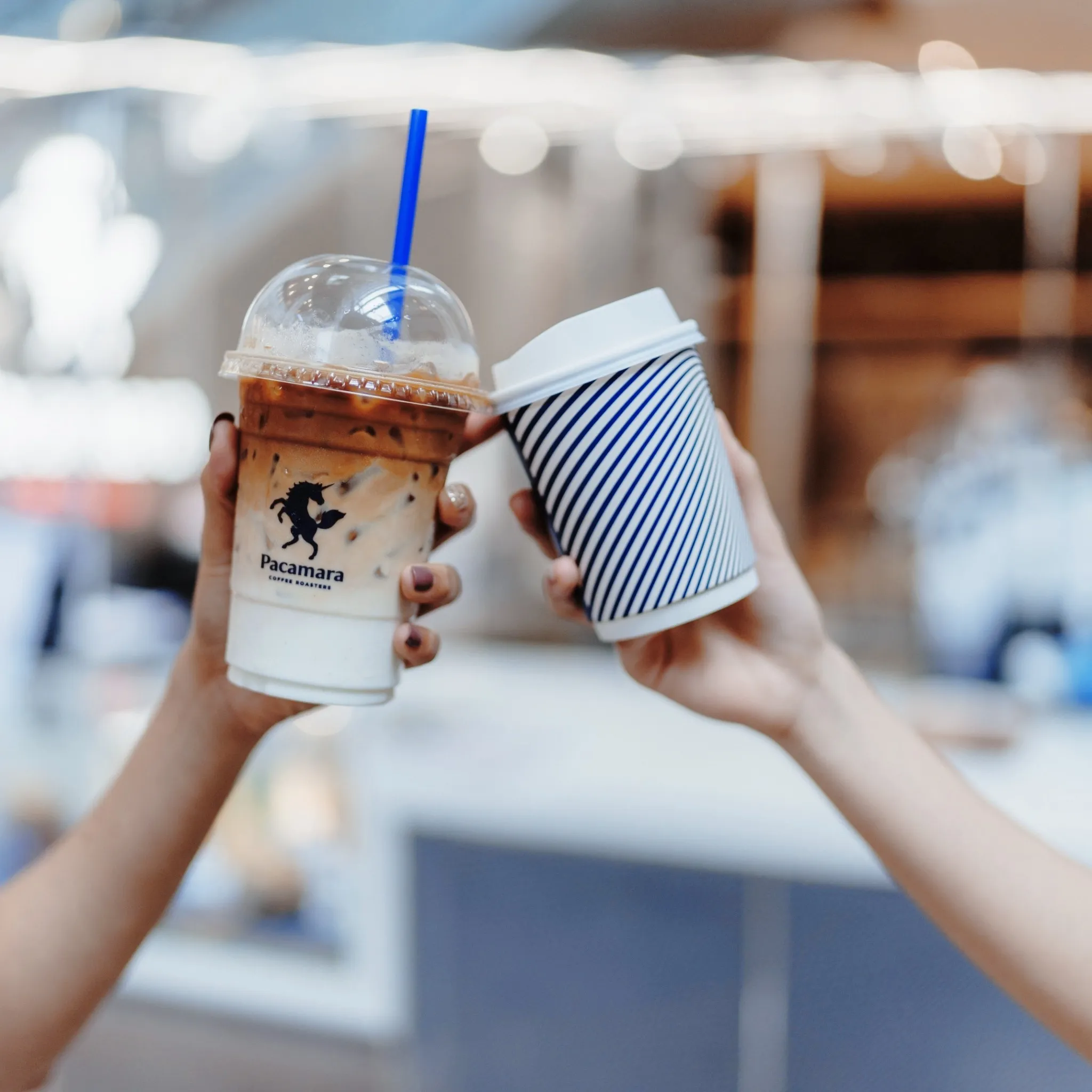 Pacamara Coffee Roasters