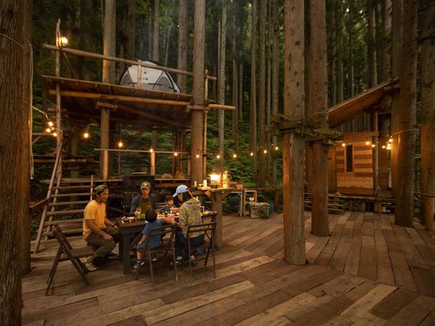 TREE CAMP