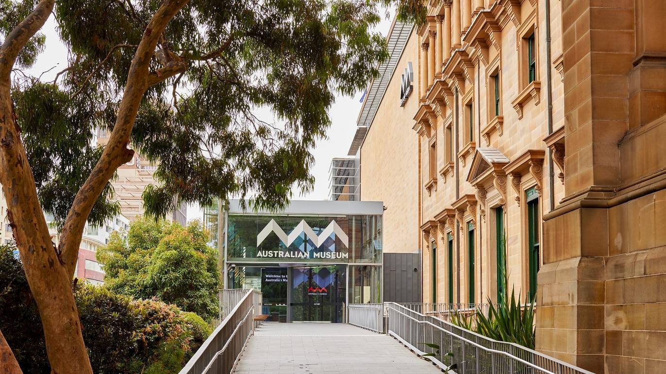 Australian Museum Museums in Darlinghurst, Sydney