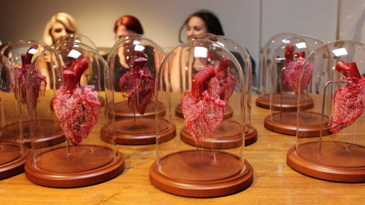 Beginner Sheep Heart Corrosion Casting Workshop