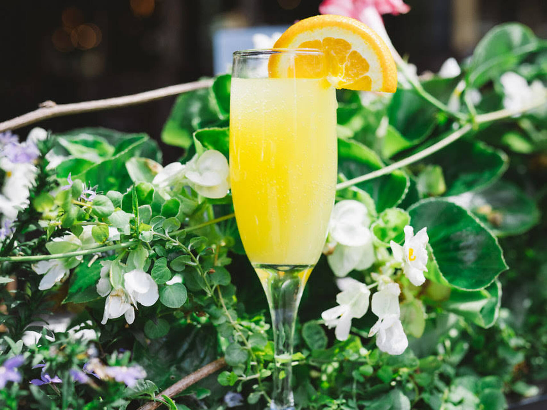 7 Best Restaurants for New Year’s Day Brunch in NYC