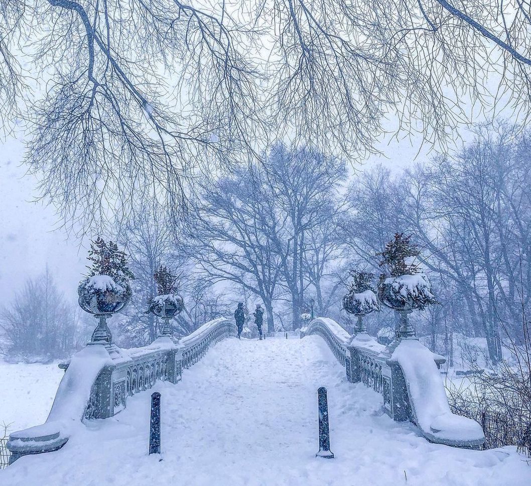 Lone Tree In The Snow In Upstate New York Background, Winter