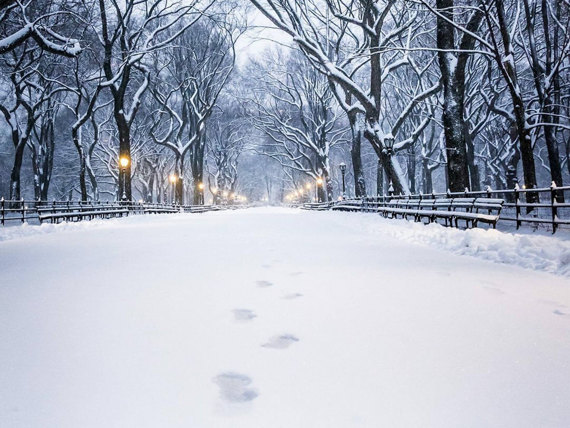 Best NYC Events In February 2025 With Things To Do In Winter