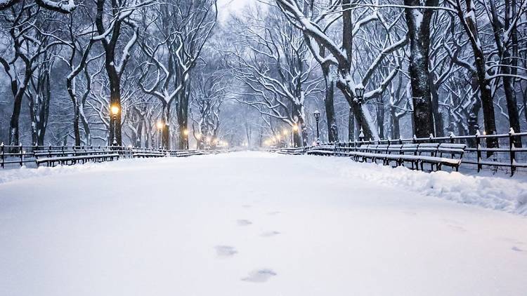 snow nyc central park