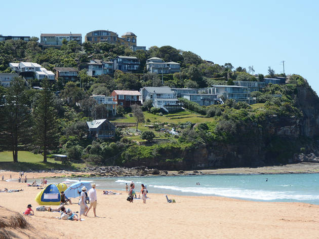 Whale Beach Whale Beach